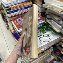 Tôi Học Đại Học♟️ 740720