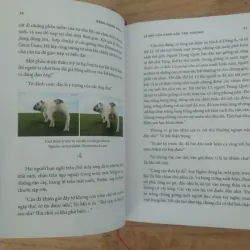 Vẻ đẹp của cảnh sắc tầm thường - cũ ( bìa cứng)- Đặng Hoàng Giang 1007163