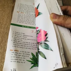 365 LOÀI HOA CẢNH 1028092