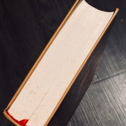 Chàng ngốc (bìa cứng, đọc mô tả) 537181