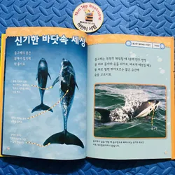 FULL SET NATIONAL GEOGRAPHIC KIDS – TIẾNG HÀN 25 CUỐN  706368