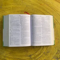 TỪ ĐIỂN TIẾNG VIỆT - TRƯƠNG VĂN HÙNG 991356