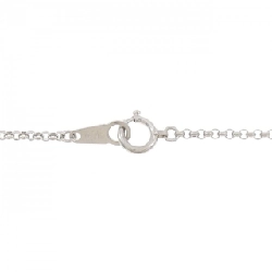 Dây chuyền PT850 - Hàng hiệu Authentic 865504