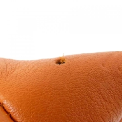 Loewe 199 30BR81 móc khóa - Hàng hiệu Authentic 807178