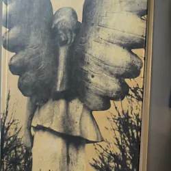 Milkweed (Jerry Spinelli)