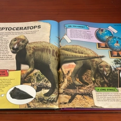 PICTURE BOOK Dinosaurs 534291