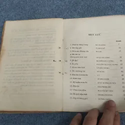 HOA HỌC TRÒ: KỶ NIỆM MÙA HÈ 957470