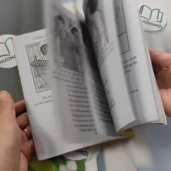 Cao Ly Đầu Hình 775958