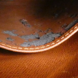 Túi đeo vai Louis Vuitton Monogram Amazon M45236 609560