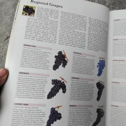 The world atlas of  wine 970849