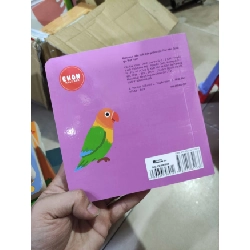 [Phiên Chợ Sách Cũ] Cùng chơi trốn tìm các loài chim 2303