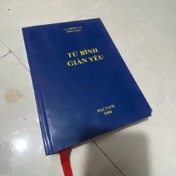 Tử Bình Giản Yếu – Vi Thiên Lý