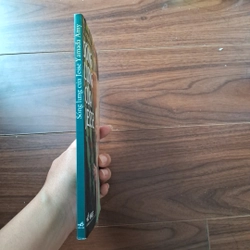 Sống lưng của jesse 506082