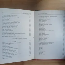 Mai Hoa Dịch Số - Thiệu Khang Tiết 1005355