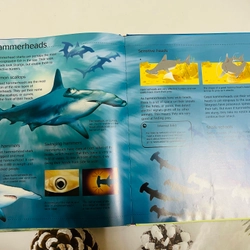 Usborne Discovery 546063