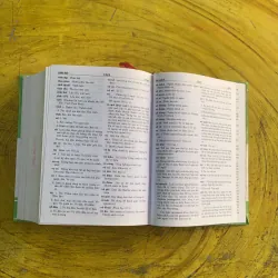 TỪ ĐIỂN TIẾNG VIỆT - TRƯƠNG VĂN HÙNG 991356