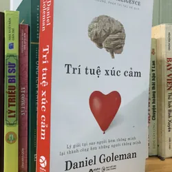 Trí tuệ cảm xúc