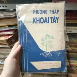 Phương pháp trồng khoai tây 📚