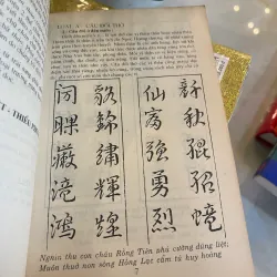 MẪU CÂU ĐỐI HOÀNH PHI THƯỜNG DÙNG - TÂN VIỆT, THIỀU PHONG 1030619