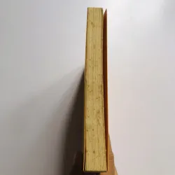 DẠY CON THỜI HIỆN ĐẠI  749169