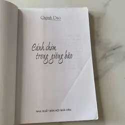 Cánh chim trong giông bão, Quỳnh Dao 708454