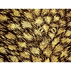 Đai túi toàn bộ - Hàng hiệu Authentic 880063