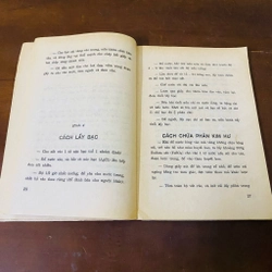 Thợ bạc thực hành  447582