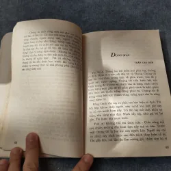 ĐIỆU LĂM VÔNG TÌNH NGHĨA 720010