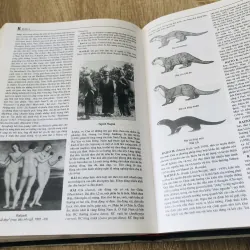 TỪ ĐIỂN BÁCH KHOA VIỆT NAM ( T1,2,3) 1000573