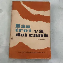 Bầu trời và đôi cánh - 1985s