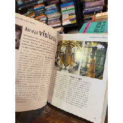 Guide to Dreams with Journal 1017903