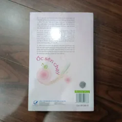 Ốc sên chạy 935294