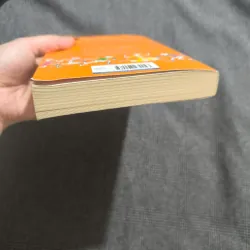 The boy in the dress - David Walliams  755728