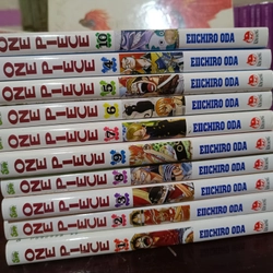 Combo 10 cuốn One Piece bìa áo tùy chọn