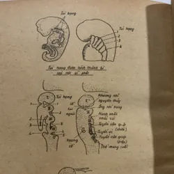 Từ điển bệnh học, Trần Phương Hạnh 709194