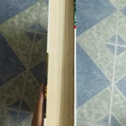 Lịch sử Hoa Kỳ những vấn đề quá khứ - Irwin Unger 564826