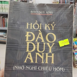 HỒI KÝ ĐÀO DUY ANH (NHỚ NGHĨ CHIỀU HÔM)