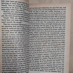 The Adventures of Tom Sawyer (Penguin Popular Classics) - Mark Twain 1004696