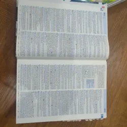 oxford advanced learner's dictionary 990613