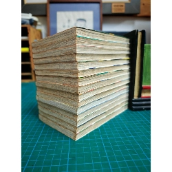 TRUYỆN TRANH Luật của Ueki - Fukuchi Tsubasa 145269