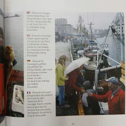 ALESUND OG SUNNMORE (ÅLESUND OG SUNNMØRE) 558060