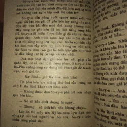 Cây sầu đâu sinh đôi - Trúc Phương  976169