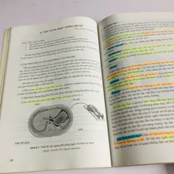 GIẢI PHẪU HỌC  - sách khổ to,  568273
