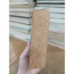 The 5th horseman - James Patterson, Maxine Paetro 716421