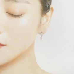 PT900 Bông tai kim cương 1.00CT - Hàng hiệu Chính hãng 866885