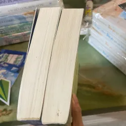 Thời Niên Thiếu Không Thể Quay Lại Ấy. 991922