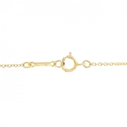 Dây chuyền táo Tiffany - Hàng hiệu Authentic 843521