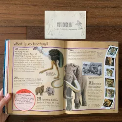 Sách ngoại văn Over 1000 Fantastic Animal Facts, Used, Bìa mềm, Siêu dày 578057