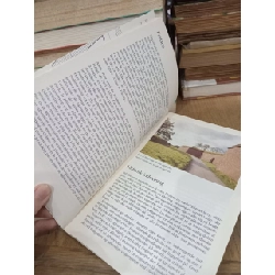 KRONBORG: Billedbog, Picturebook, Illustrierter Führer, Guide Illustré 750175