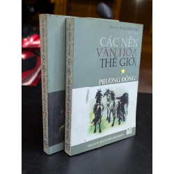 Các nền văn hóa thế giới - Đặng Hữu Toàn 328652